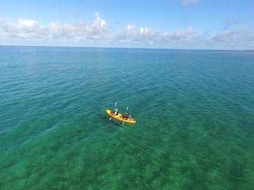 B-nature（ビーネイチャー）に投稿された画像（2024/7/17）