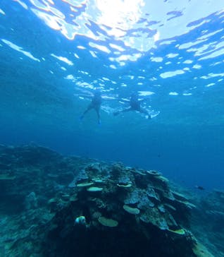 西表島 ADVENTURE PiPi（アドベンチャーピピ）に投稿された画像（2024/7/17）