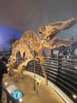 福井県立恐竜博物館に投稿された画像（2024/7/17）