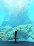 仙台うみの杜水族館に投稿された画像（2024/7/17）