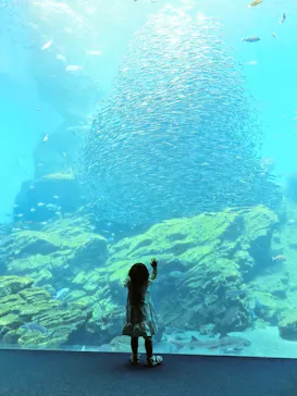 仙台うみの杜水族館に投稿された画像（2024/7/17）