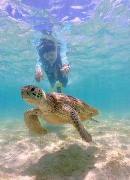 元気玉に投稿された画像（2024/7/17）