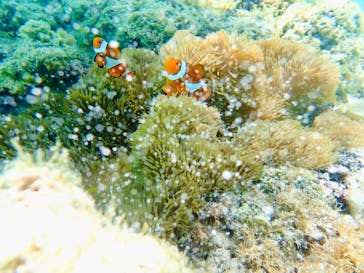 元気玉に投稿された画像（2024/7/17）