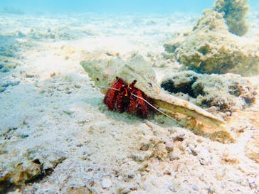 元気玉に投稿された画像（2024/7/17）