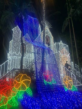 美らヤシパークオキナワ・東南植物楽園に投稿された画像（2024/7/17）