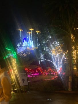 美らヤシパークオキナワ・東南植物楽園に投稿された画像（2024/7/17）