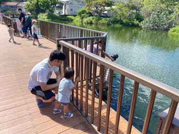 沖縄こどもの国に投稿された画像（2024/7/17）