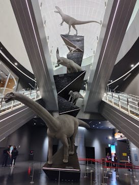 福井県立恐竜博物館に投稿された画像（2024/7/17）