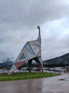 福井県立恐竜博物館に投稿された画像（2024/7/17）