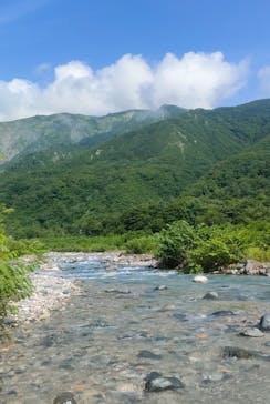 白馬ライオンアドベンチャーに投稿された画像（2024/7/17）