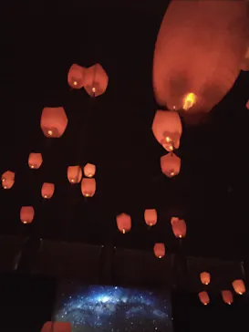 ひらかたパークに投稿された画像（2024/7/17）