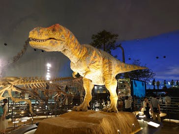 福井県立恐竜博物館に投稿された画像（2024/7/17）