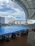 名古屋港水族館に投稿された画像（2024/7/18）
