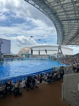 名古屋港水族館に投稿された画像（2024/7/18）