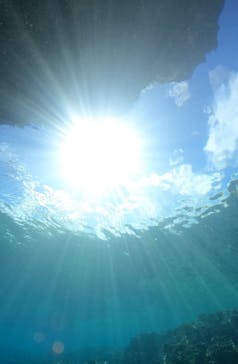 武藤潜水に投稿された画像（2024/7/18）