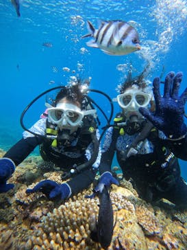 沖縄マリンサービス碧に投稿された画像（2024/7/18）