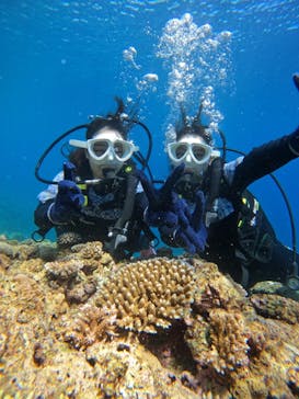 沖縄マリンサービス碧に投稿された画像（2024/7/18）