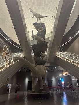 福井県立恐竜博物館に投稿された画像（2024/7/18）