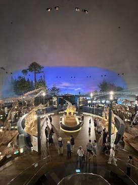 福井県立恐竜博物館に投稿された画像（2024/7/18）