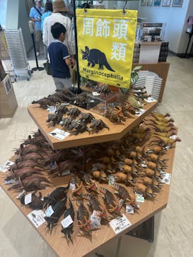 福井県立恐竜博物館に投稿された画像（2024/7/18）