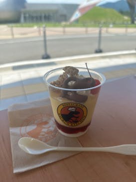 福井県立恐竜博物館に投稿された画像（2024/7/18）