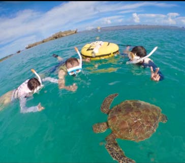 初心者専門宮古島シュノーケリングツアーに投稿された画像（2024/7/18）