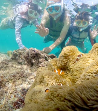 初心者専門宮古島シュノーケリングツアーに投稿された画像（2024/7/18）