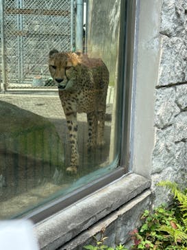 多摩動物公園に投稿された画像（2024/7/18）