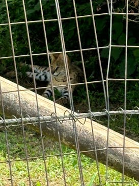 多摩動物公園に投稿された画像（2024/7/18）