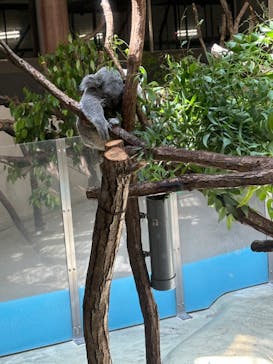 多摩動物公園に投稿された画像（2024/7/18）