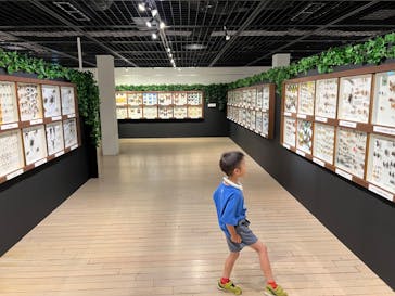 体感するファーブル昆虫展in横浜赤レンガ倉庫に投稿された画像（2024/7/18）