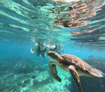 nico 宮古島に投稿された画像（2024/7/18）