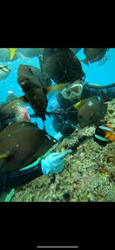 武藤潜水に投稿された画像（2024/7/18）