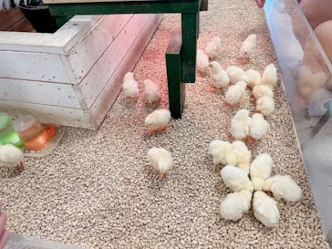 Moff animal world BIGHOPガーデンモール印西店に投稿された画像（2024/7/18）