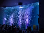 名古屋港水族館に投稿された画像（2024/7/18）