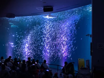 名古屋港水族館に投稿された画像（2024/7/18）