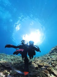 ガイド屋さんに投稿された画像（2024/7/18）