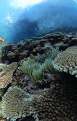 ガイド屋さんに投稿された画像（2024/7/18）