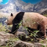 恩賜上野動物園に投稿された画像（2024/7/18）