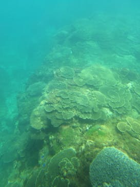串本海中公園水族館に投稿された画像（2024/7/18）
