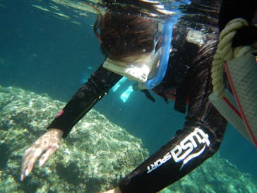 アルガイド沖縄に投稿された画像（2024/7/18）