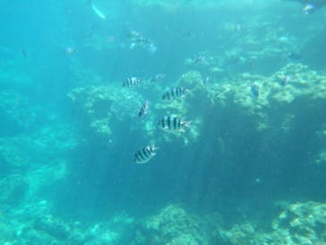 アルガイド沖縄に投稿された画像（2024/7/18）