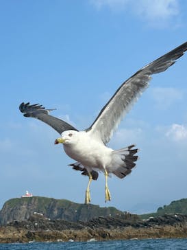 龍宮クルーズに投稿された画像（2024/7/18）