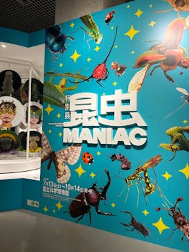 特別展「昆虫 MANIAC」（国立科学博物館）に投稿された画像（2024/7/18）