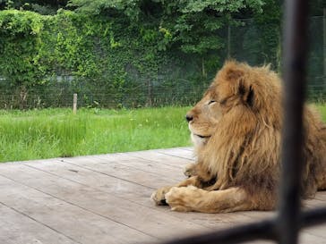 那須サファリパークに投稿された画像（2024/7/18）