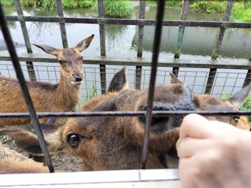 那須サファリパークに投稿された画像（2024/7/18）