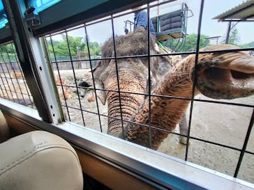 那須サファリパークに投稿された画像（2024/7/18）