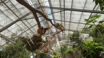 神戸どうぶつ王国に投稿された画像（2024/7/18）