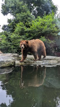 神戸どうぶつ王国に投稿された画像（2024/7/18）