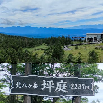 北八ヶ岳ロープウェイに投稿された画像（2024/7/18）